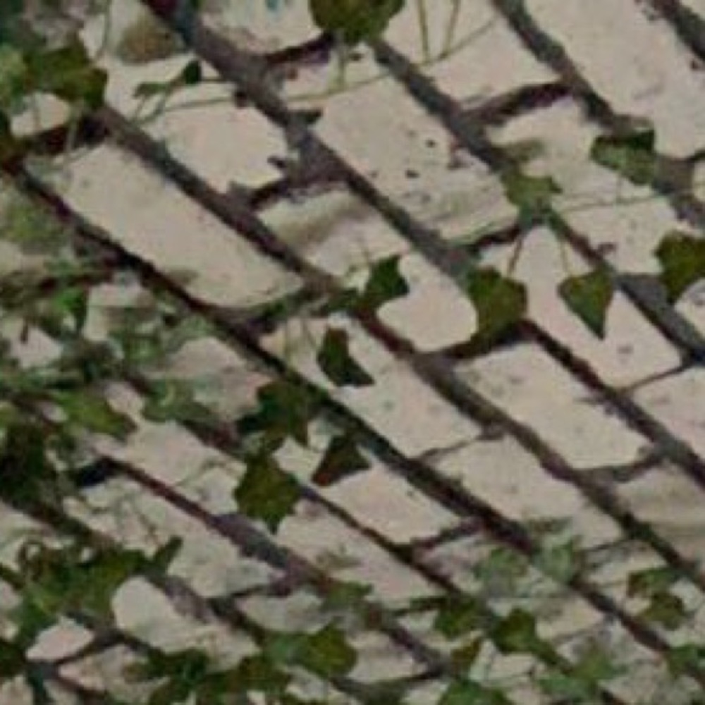 Meet your Posher, Jacky